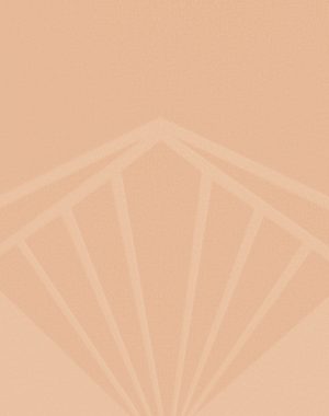 ShadowSculpt High-Waist Brief